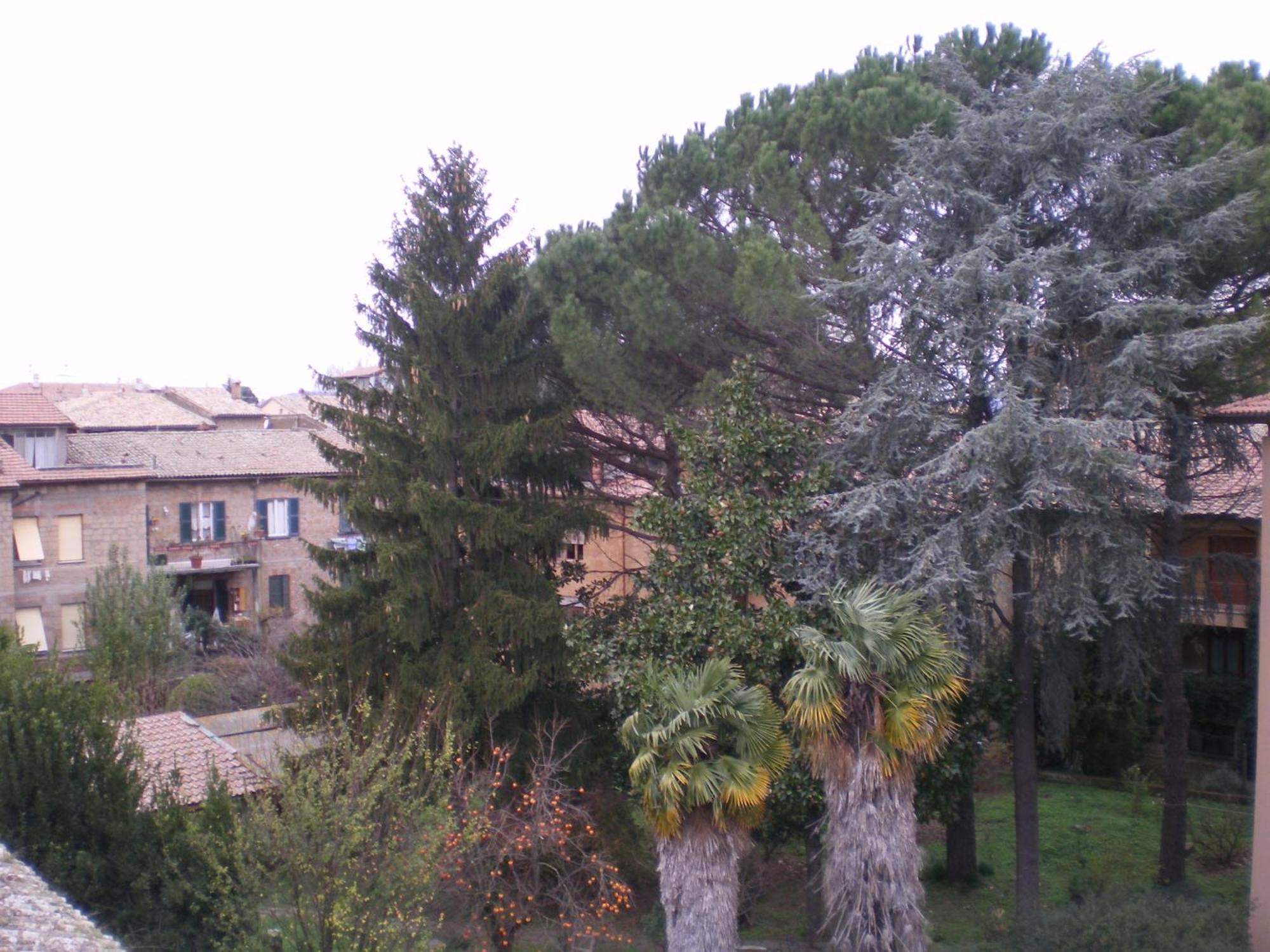 אורביאטו Hotel Valentino Centro Storico מראה חיצוני תמונה